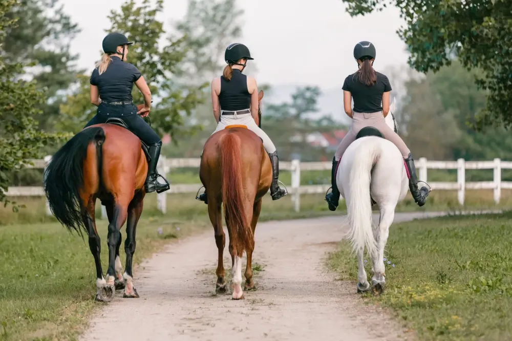 Poney club près de Eyguières