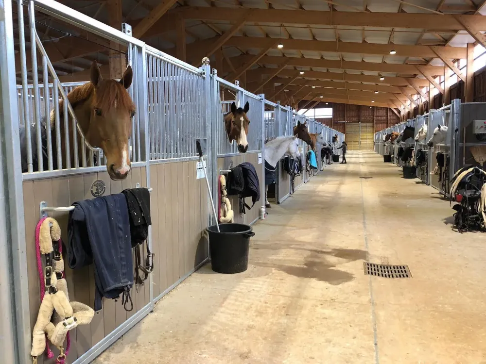 Pension pour cheval près de Eyguières