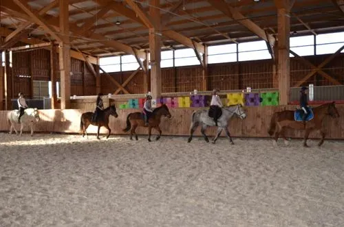 poneys club (3)