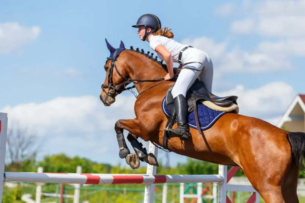cavalière sautant un obstacle à chevawebp
