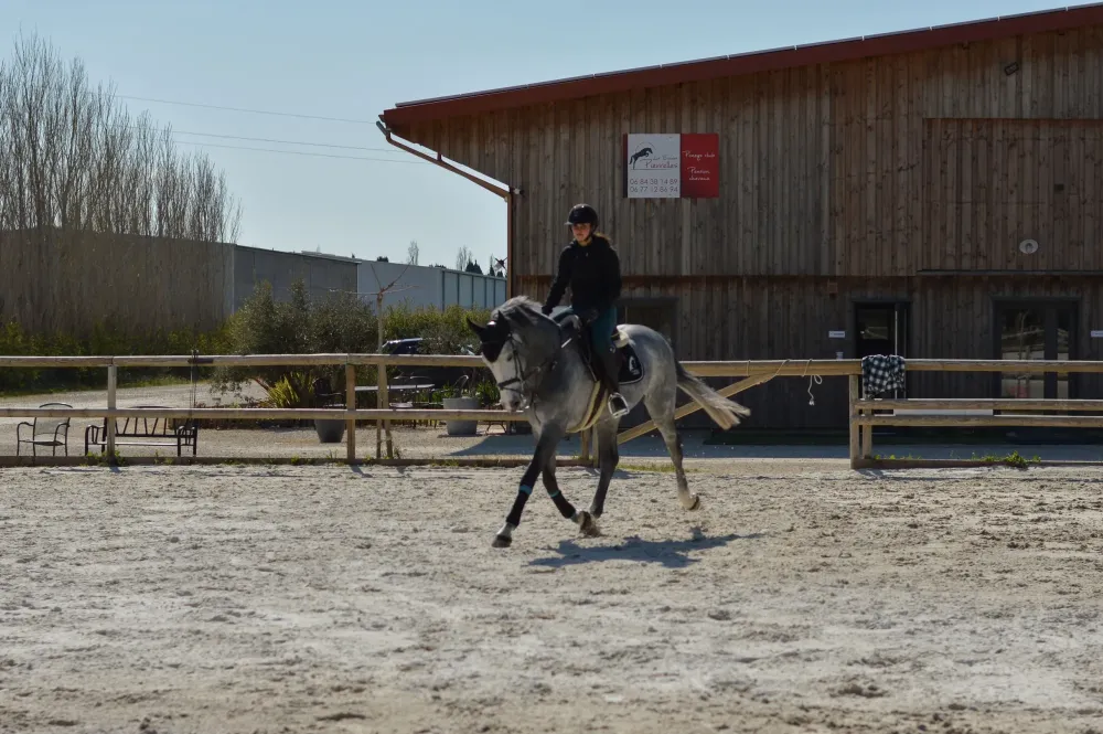 Centre équestre à Saint-Martin-de-Crau (40webp