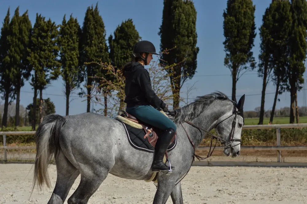 Centre équestre à Saint-Martin-de-Crau (37webp