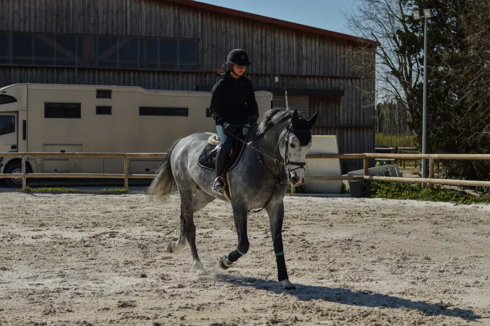 Centre équestre à Saint-Martin-de-Crau (38webp