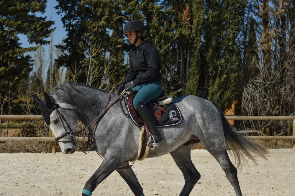 Centre équestre à Saint-Martin-de-Crau (39webp