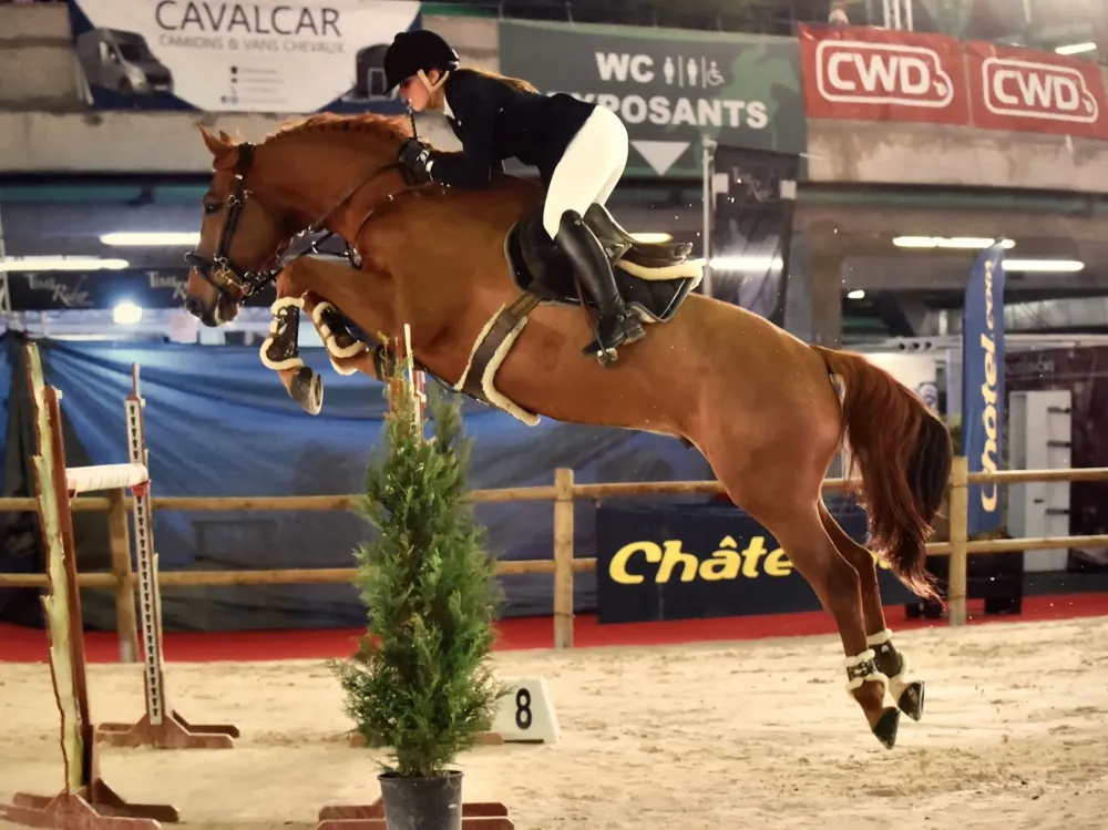 Centre équestre à Saint-Martin-de-Crau (75webp