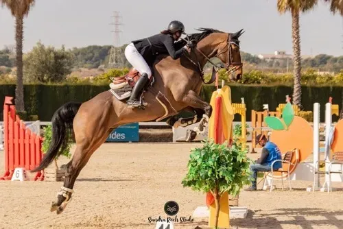Centre équestre à Saint-Martin-de-Crau (79webp