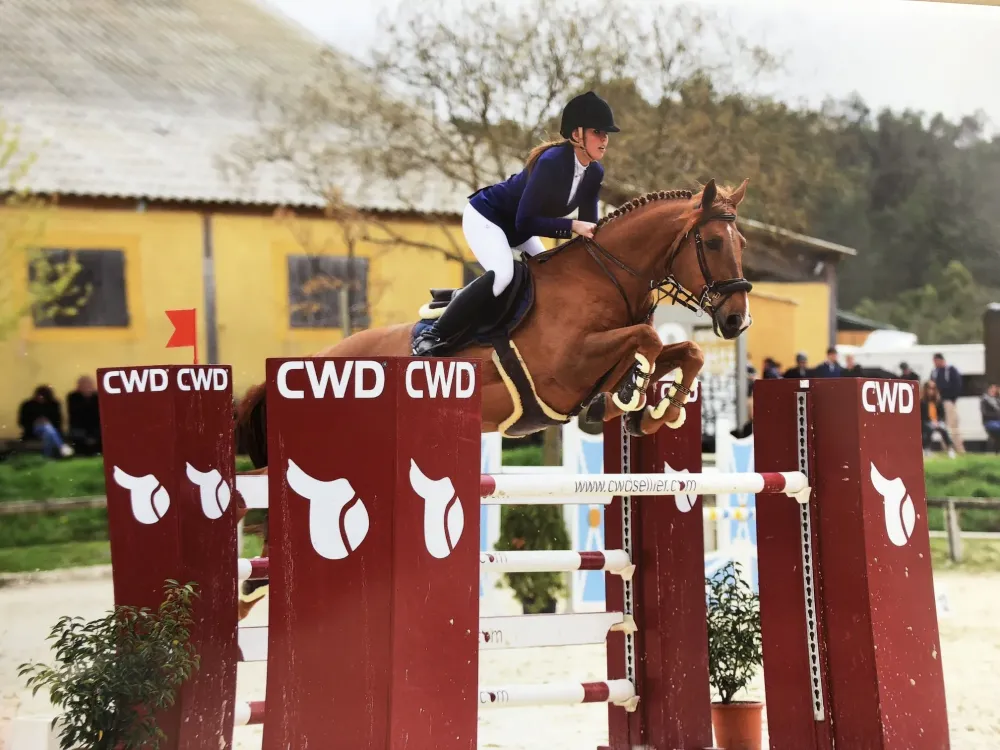 Centre équestre à Saint-Martin-de-Crau (45webp