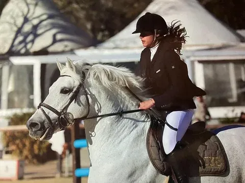 Centre équestre à Saint-Martin-de-Crau (53webp