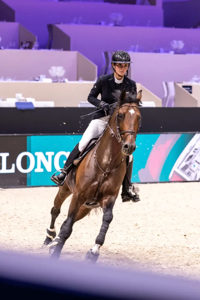 Centre équestre à Saint-Martin-de-Crau (54webp