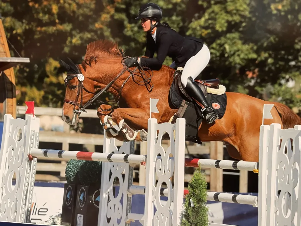 Centre équestre à Saint-Martin-de-Crau (66webp